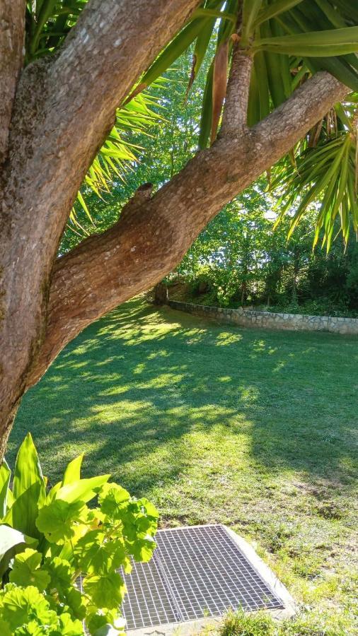 Cabana Do Sol Torres Vedras Exterior photo